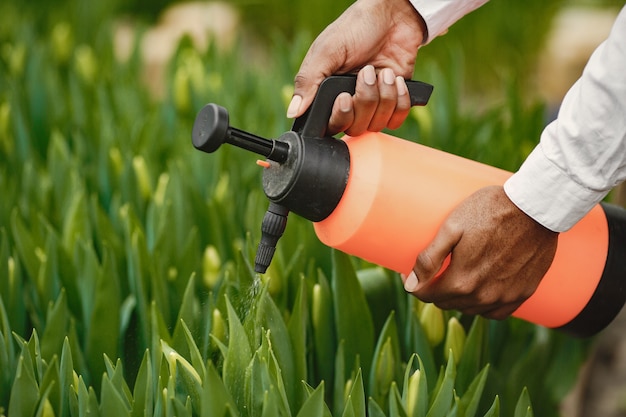 Free photo african gardener guy. gardener with a watering can. flower beds.