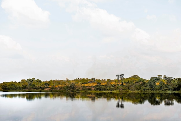 Африканский природный пейзаж с озером