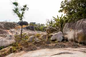 Free photo african nature scenery with vegetation and rocks
