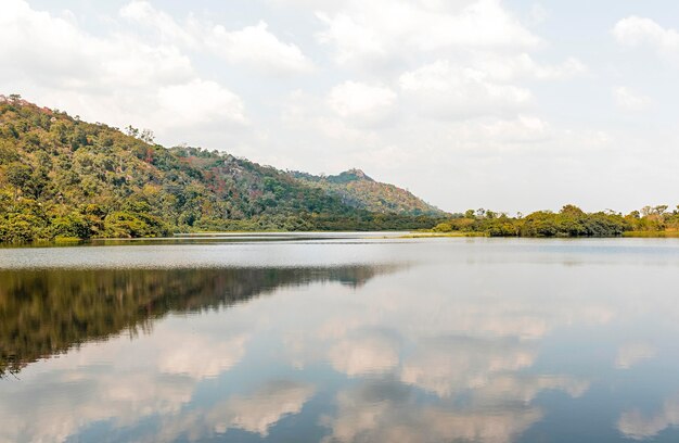 African nature view with trees and lake