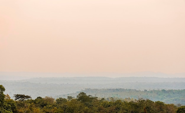 African nature view with trees