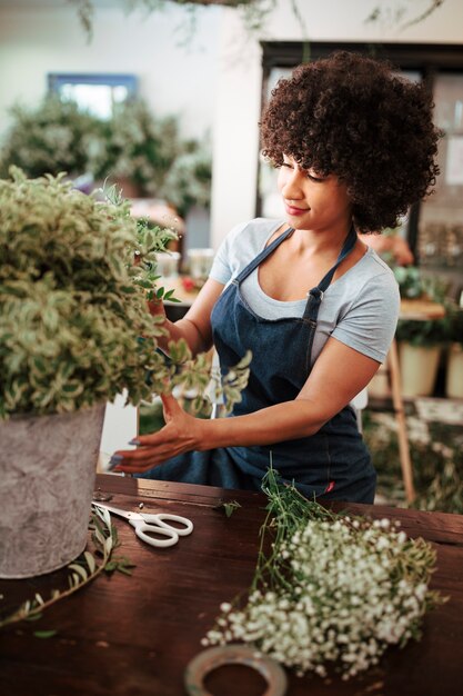 African woman taking care of plant in shop