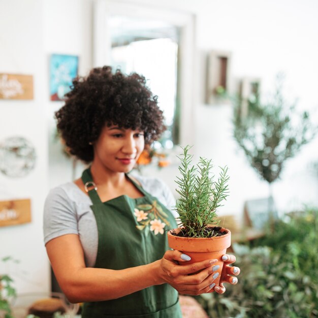 Afro african female florist holding potted plant