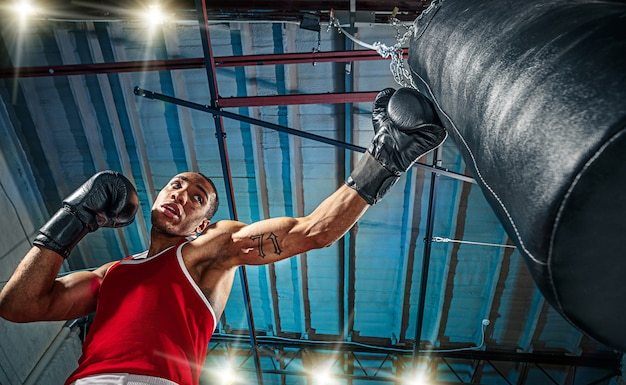 Free photo afro american male boxer.