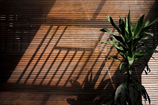 Afternoon shadows on a wooden wall