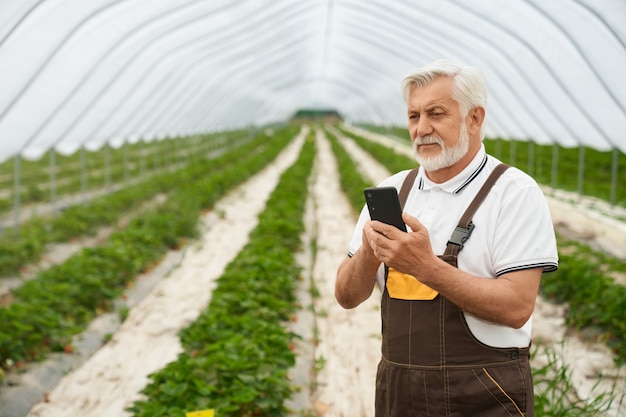 Бесплатное фото Пожилой фермер со смартфоном в руках, стоя у теплицы