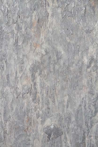 Aged gray rough plaster
