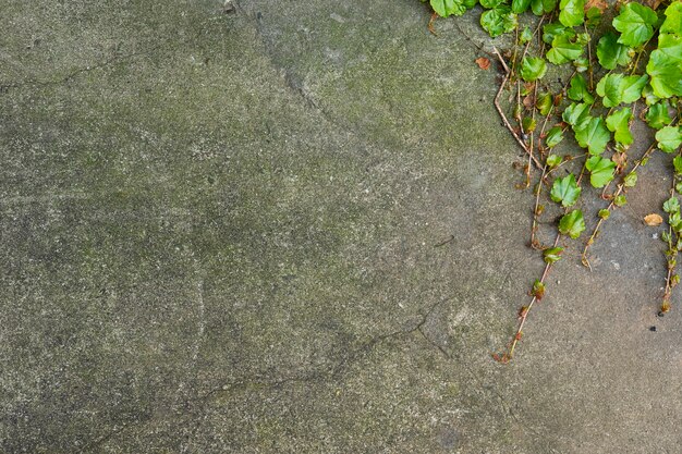 Aged stone wall background