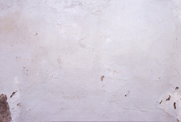 세 흰 벽