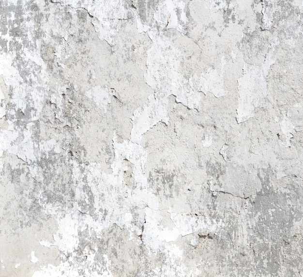 Free photo aged whitish wall template