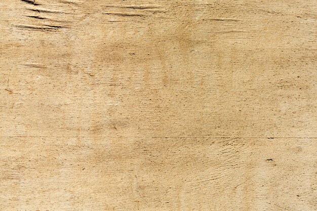 Aged wood with coarse surface