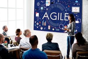 Agile agility nimble quick fast volant concept