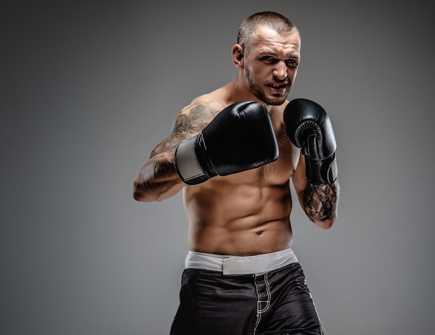 Foto gratuita combattente tatuato aggressivo isolato su sfondo grigio.