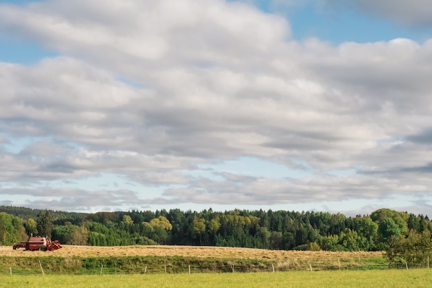 Foto gratuita campo agricolo circondato da alberi verdi sotto un cielo nuvoloso