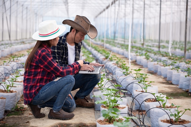 Foto gratuita ricercatore agricolo con il tablet ispeziona lentamente le piante.