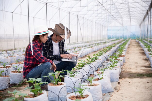 タブレットを持つ農業研究者はゆっくりと植物を調べます。