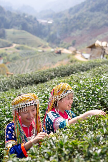 丘陵女性の農業