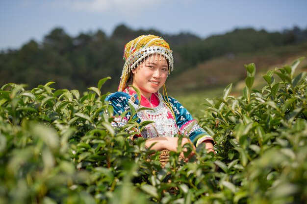 丘陵女性の農業