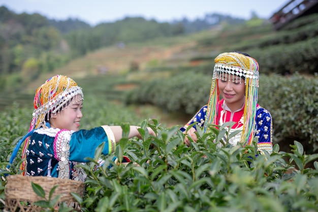 丘陵女性の農業