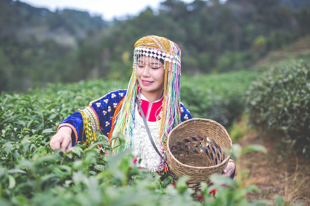 丘陵女性の農業