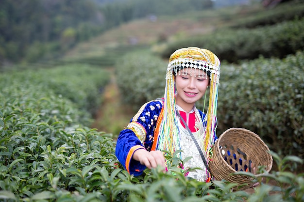 Foto gratuita agricoltura delle donne hilltribe