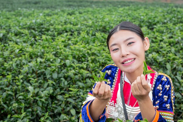 Agriculture of hilltribe women 