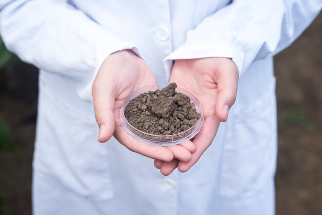 Free photo agronomist hands holding soil for fertility inspection