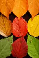 Free photo ai generated fall leaves