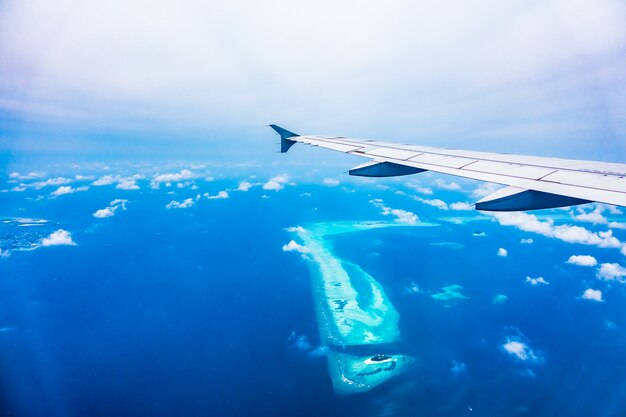 飛行機の翼