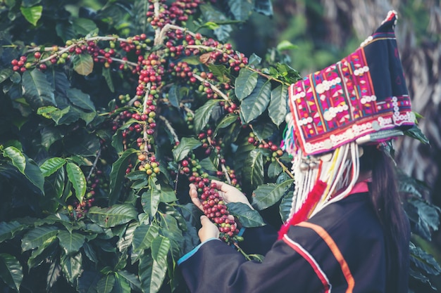 Foto gratuita agricoltori akha