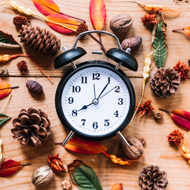 Free photo alarm clock among cones flowers and leaves