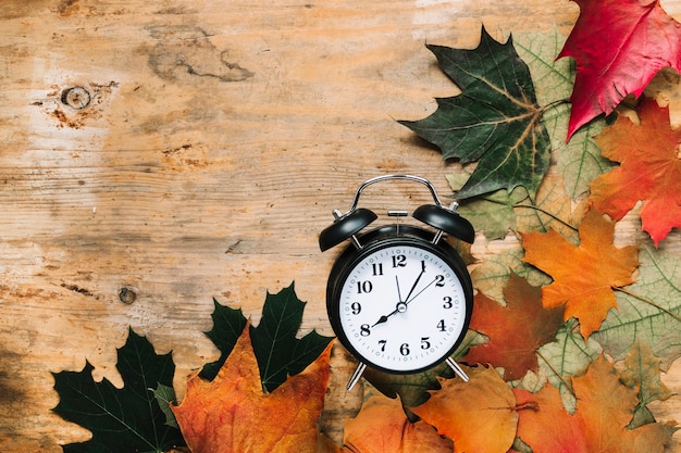 目覚まし時計、木製の背景に秋の葉