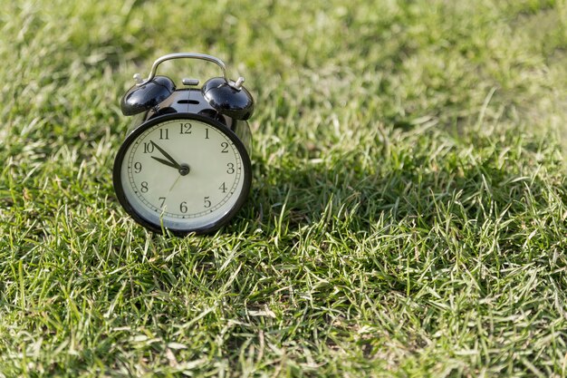 잔디밭에 알람 시계