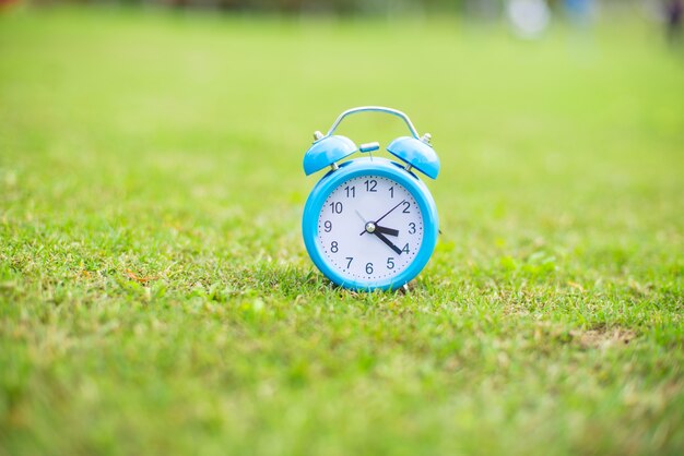 Alarm clock at the park