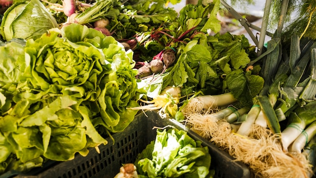 All kinds of fresh green vegetable in plastic crate