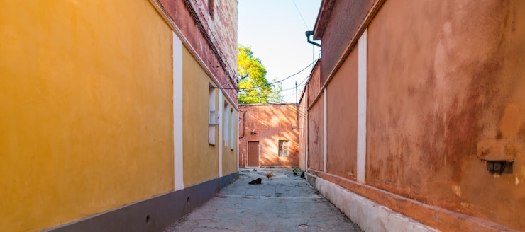 Free Photo alleyway with cats and dogs