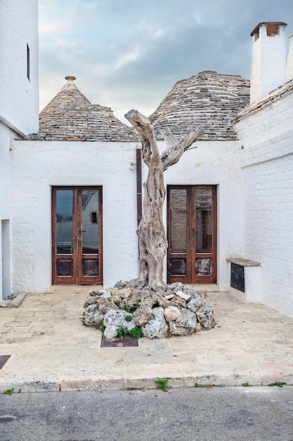 녹색 식물과 꽃 사이에 Trulli 주택이 있는 매혹적인 Alberobello 마을, 주요 관광 지구, 남부 이탈리아 Apulia 지역. 마른 돌담과 원추형 지붕으로 지어진 전형적인 건물