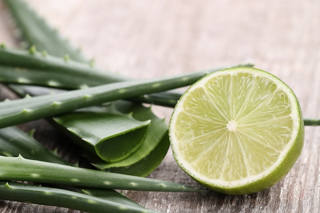 Aloe vera slices for skin care