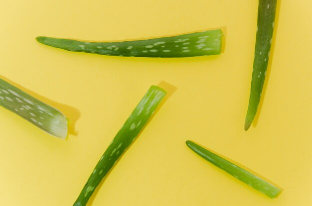 Aloe vera on yellow background