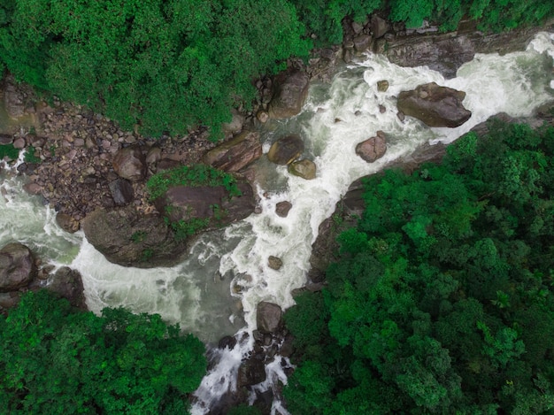 아름다운 자연으로 둘러싸인 강의 놀라운 공중 촬영