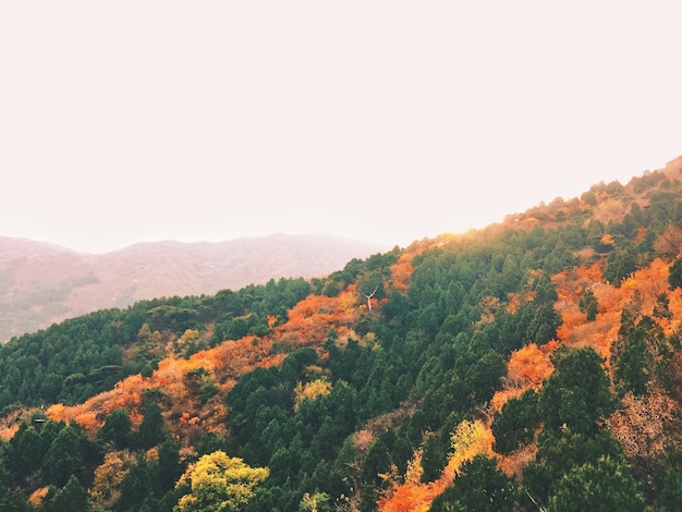 Удивительный осенний пейзаж с разноцветными деревьями и горами
