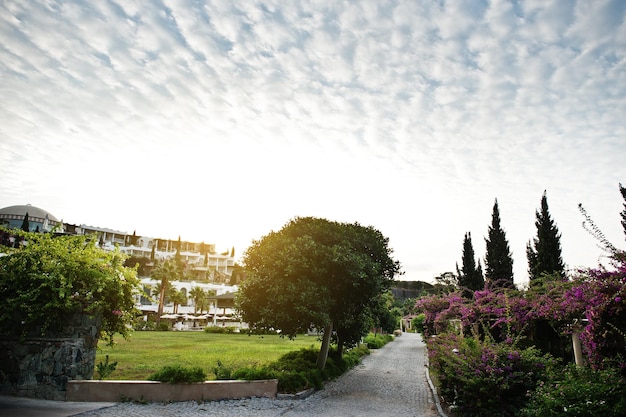 ボドルムトルコの日没の高級ホテルの素晴らしい庭園