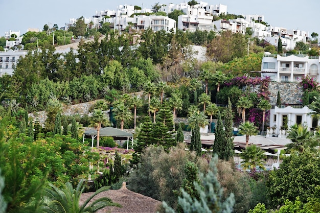 터키 보드룸(Bodrum Turkey)의 흐린 하늘과 일몰에 있는 고급 호텔의 놀라운 정원