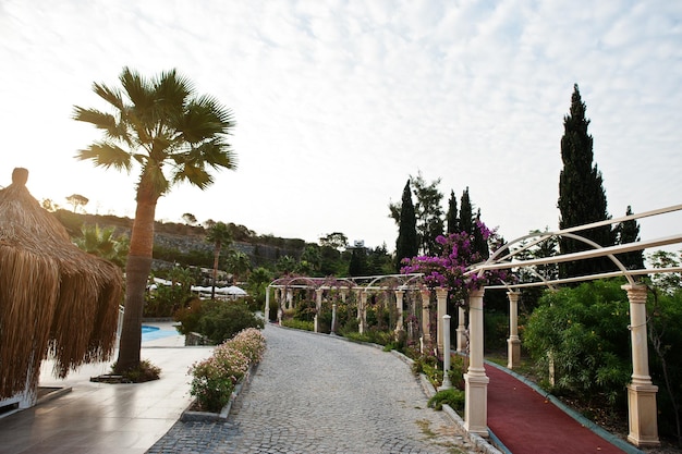 トルコのボドルムに沈む夕日に花のアーチと高級ホテルのヤシの木がある素晴らしい庭園