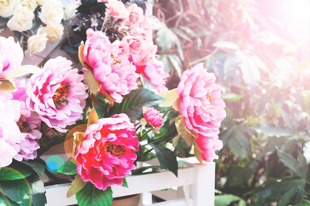 Удивительный вид природы цветущих розовых цветов в саду. Красивые декорации красочных розовых цветов с зелеными листьями в солнечный летний или весенний день.