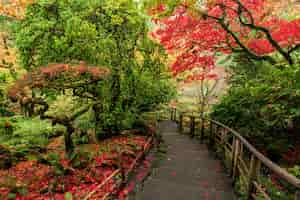 Free photo amazing shot of the beautiful butchart gardens in brentwood bay