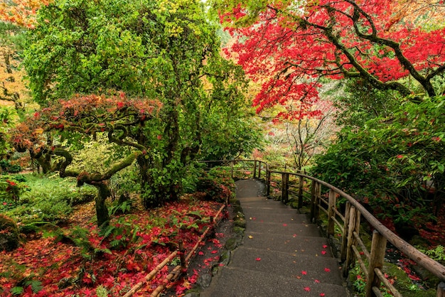 Amazing shot of the beautiful Butchart Gardens in Brentwood Bay