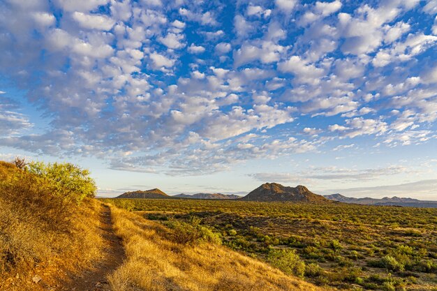 Amazing shot of a beautiful grassland with majestic mountains on the surface