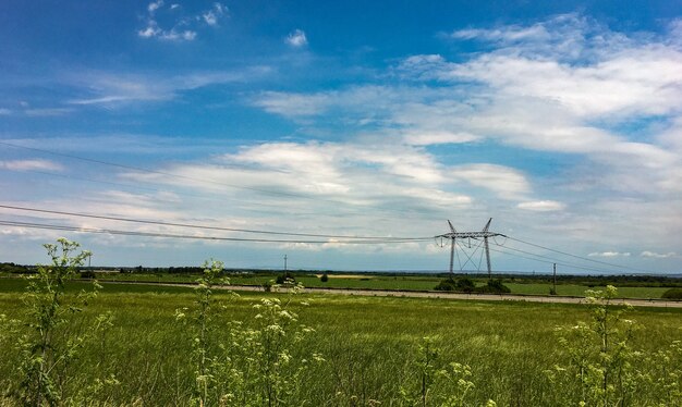 送電塔の背景に美しい牧草地の素晴らしいショット