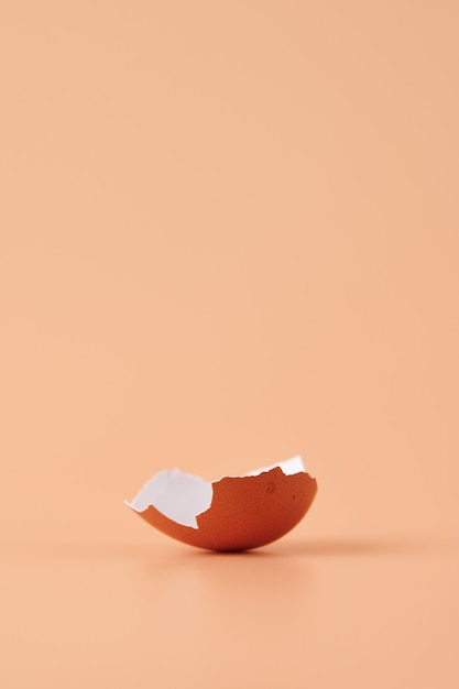 Free photo amazing shot of eggshell isolated on orange wall